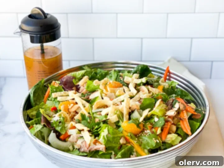 Zesty Asian Chicken Salad 6 Plated Chinese Chicken Salad
