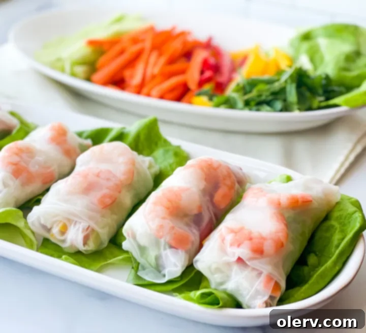 Crispy Homemade Spring Rolls 3 A plate of freshly made spring rolls ready to be served, highlighting their fresh and inviting appearance