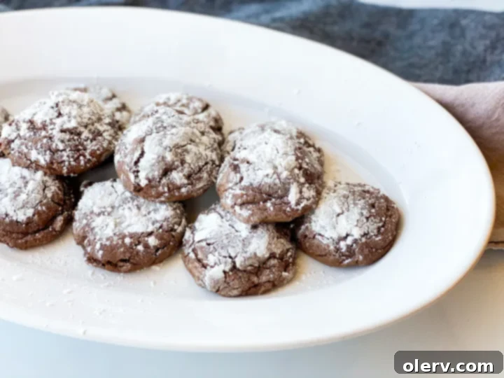Easy Cake Mix Crinkle Cookies 3 Bowl of prepared chocolate cake mix cookie dough, ready for scooping and rolling.