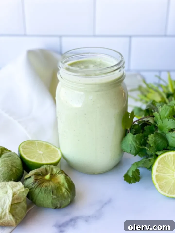 Zesty Cilantro Tomatillo Vinaigrette 8 Creamy Cilantro Tomatillo Salad Dressing