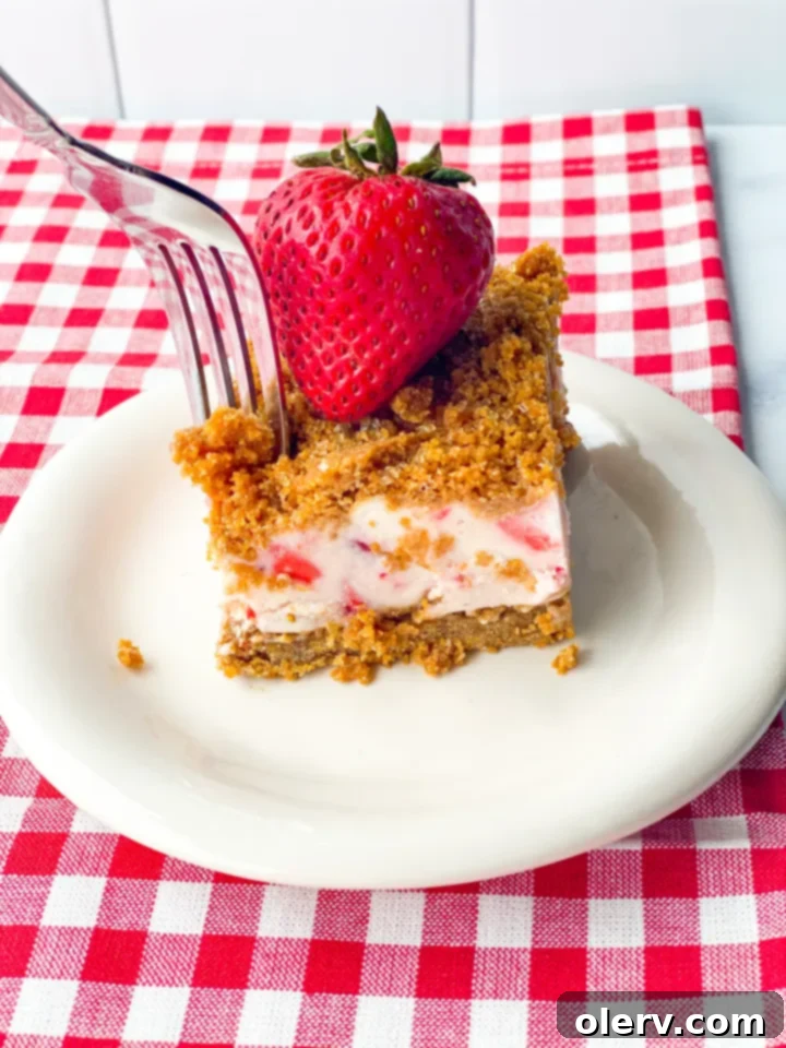 Chilled Strawberry Bliss 6 A single serving of frozen strawberry dessert on a plate